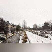 בוקר לבן ומושלג בירושלים. | ישי פלג