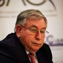 אורן שחור. | פלאש90