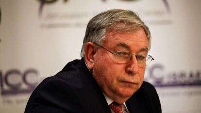 אורן שחור. | פלאש90 אורן שחור. | פלאש90