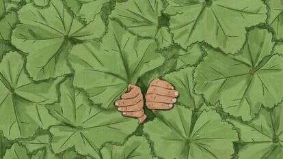 איור: שרון ארדיטי