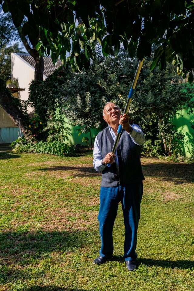 ברוך גרינברג