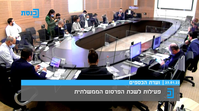 דיון בוועדת הכספים על הפרסומים הממשלתיים, בשבוע שעבר. | מסך מתוך ערוץ כנסת