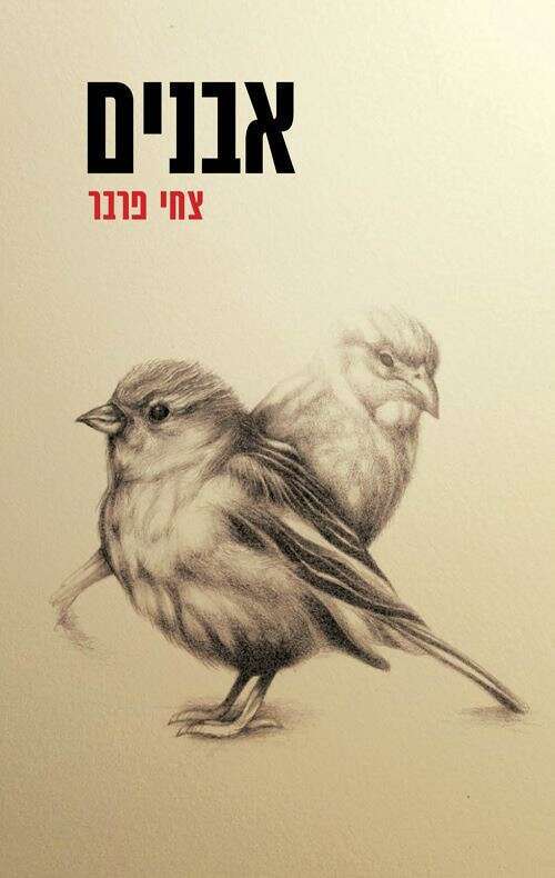 אבנים, צחי פרבר, כנרת־זמורה־דביר, 2022, 272 עמ'