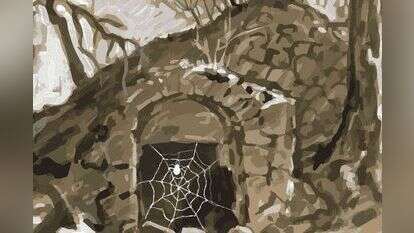 איור: שאטרסטוק