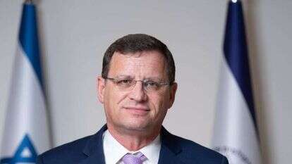 גאל גרינוולד. קרדיט תמונה: דוברות הצ"ע