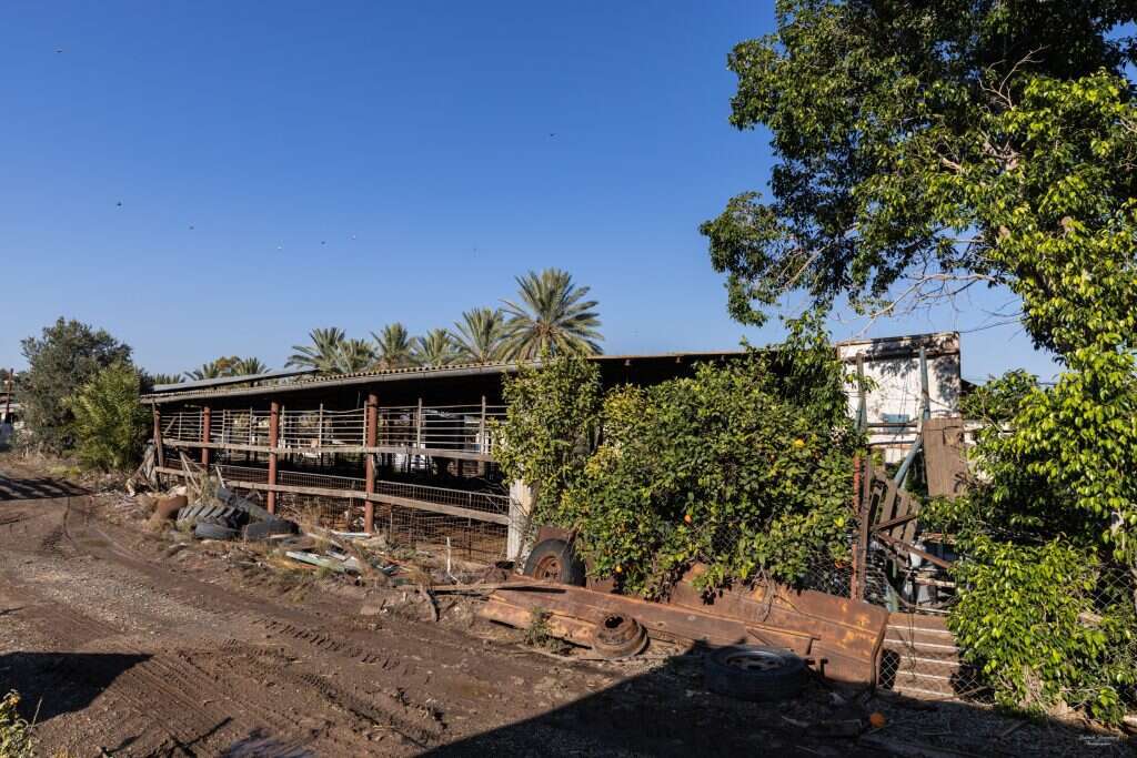 ברוך גרינברג