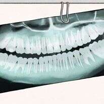 איור: שרון ארדיטי