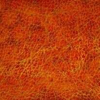 חיה אסתר, "מעדנות", אקווטינטה משוייפת, תצריב, 2022 .מוצג בתערוכה בַּיָּרֵחַ הַמָּלֵא בגלריה לאמנות במכללת דוד ילין, ירושלים. | שלמה גודלבסקי