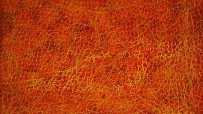 חיה אסתר, "מעדנות", אקווטינטה משוייפת, תצריב, 2022 .מוצג בתערוכה בַּיָּרֵחַ הַמָּלֵא בגלריה לאמנות במכללת דוד ילין, ירושלים. | שלמה גודלבסקי