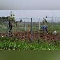 חיבור המים לצינור, השבוע בגליל. | אייל מרגולין - ג'יני