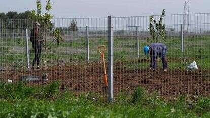 חיבור המים לצינור, השבוע בגליל. | אייל מרגולין - ג'יני