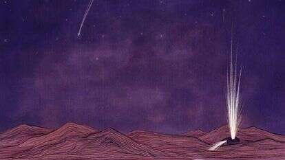 איור: שרון ארדיטי