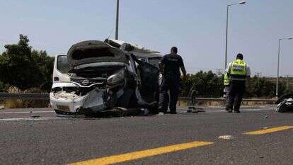 אילוסטרציה. | מישל דוט קום