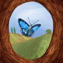 איור: נועה קלנר