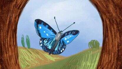 איור: נועה קלנר