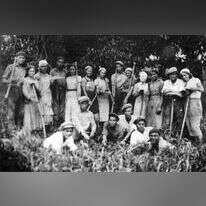 דיון בוועידה הארצית של תנועת הפועל המזרחי בפולין, 1945. | באדיבות מוזיאון בית לוחמי הגטאות / ארכיון התצלומים