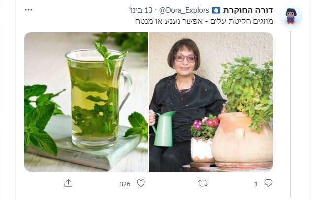 מסך מתוך עמוד הטוויטר של דורה החוקרת