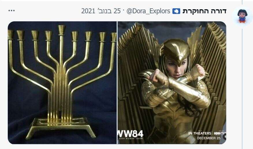 מסך מתוך עמוד הטוויטר של דורה החוקרת