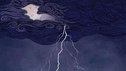 איור: שרון ארדיטי