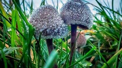 גטי אימג'ס גטי אימג'ס