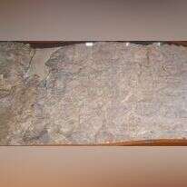 כתובת השילוח המוצגת במוזיאון העתיקות של איסטנבול. | דרור אבי