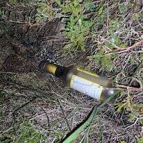 בקבוק תבערה שהושלך בשומרון. אילוסטרציה בקבוק תבערה שהושלך בשומרון. אילוסטרציה