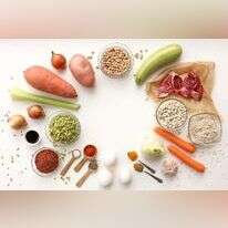 אפרת ליכטנשטט