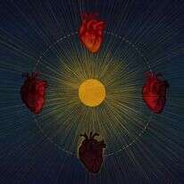 איור: שרון ארדיטי