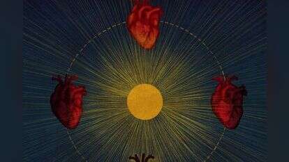 איור: שרון ארדיטי