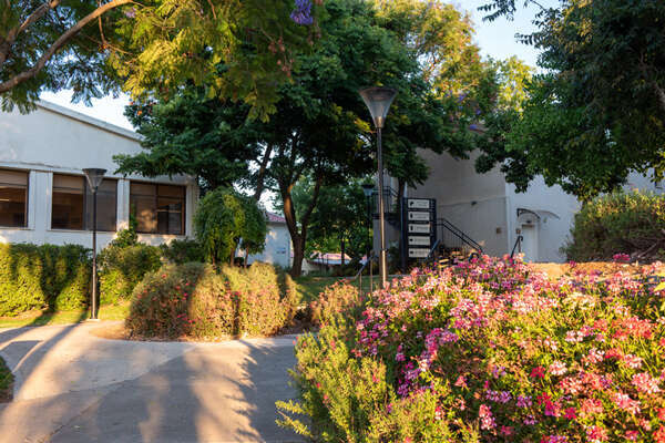 צילום קשת יונתן