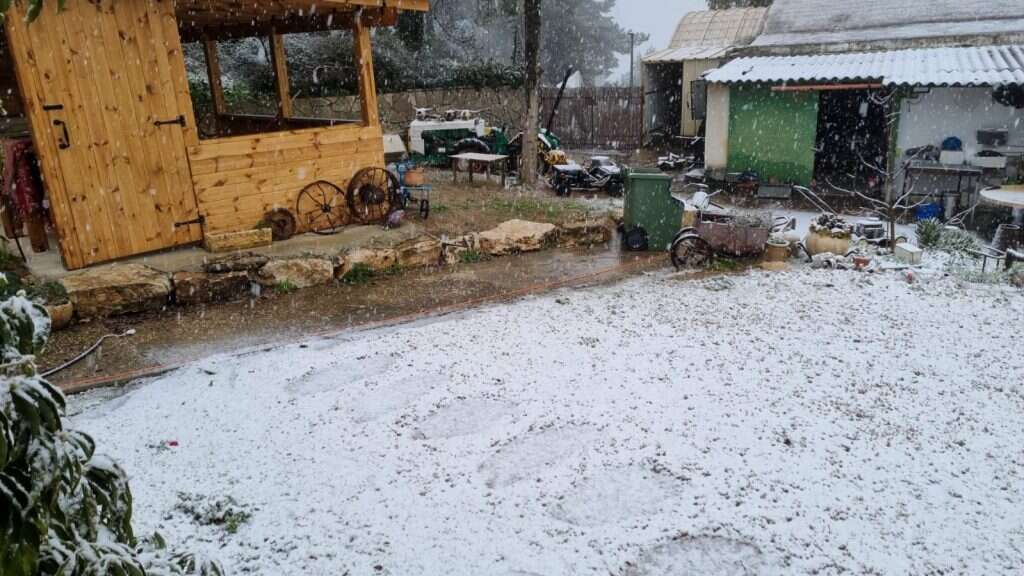 שלג בקיבוץ מנרה. | מוטי שי