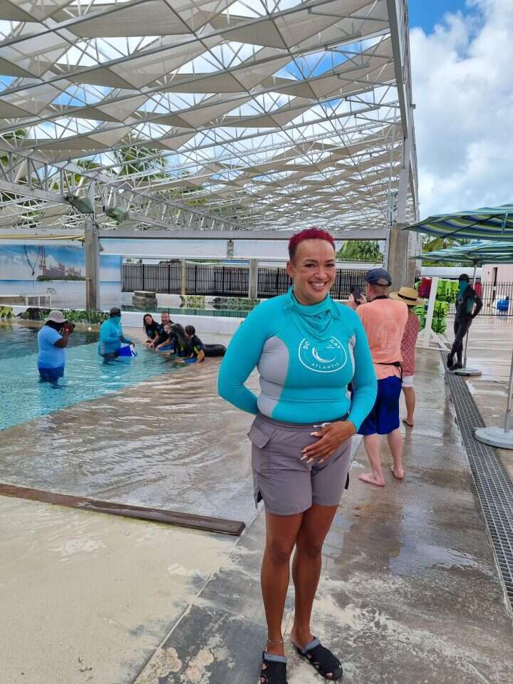 שיעורי ההצלחה של לידות הדולפינים גבוהים במיוחד. הביולוגית ד"ר לינדה המרטון. | מיכאל טוכפלד