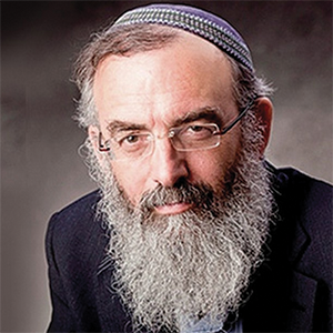הרב דוד סתיו