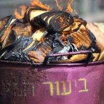 ביעור חמץ. | אביר סולטן, פלאש 90