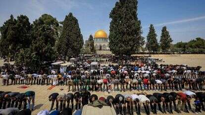 תפילת יום השישי במתחם הר הבית. | ג'מאל עוואד - פלאש90
