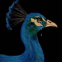 איור: שרון ארדיטי