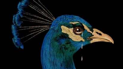 איור: שרון ארדיטי