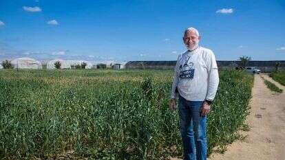 ויטו ויצמן. | לירון מולדובן