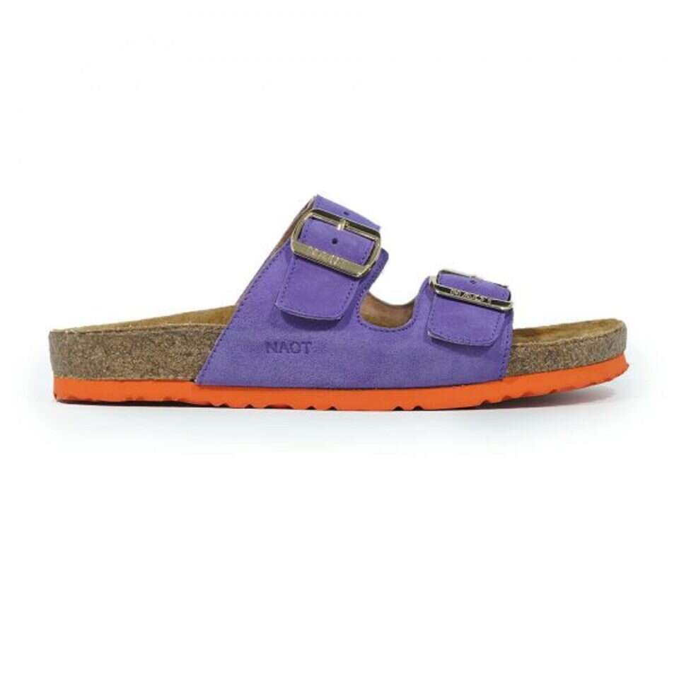 טבע נאות: עומר שטוח נשים סגול. 450 ש"ח. | עמירם בן ישי