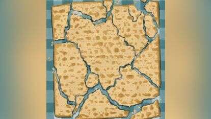 איור: שרון ארדיטי