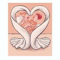 איור: מורן ברק