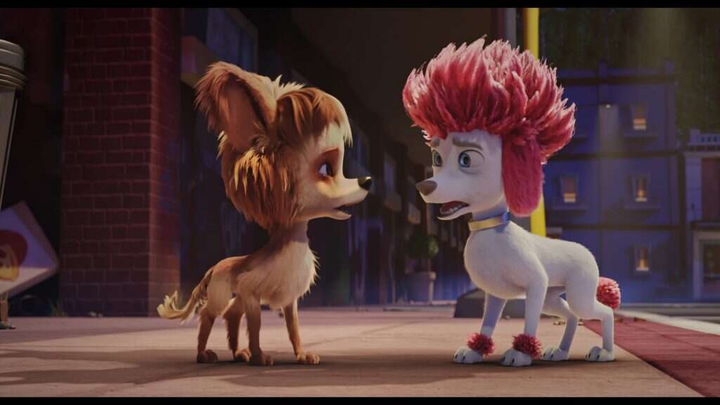 מאה אחוז זאב. | באדיבות פילמהאוס