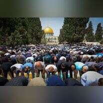 תפילת מוסלמים בהר הבית. | סלימאן חאדר, פלאש 90