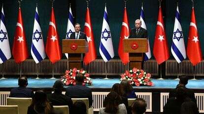 הנשיא הרצוג וארדואן במסיבת עיתונאים בעת ביקורו באנקרה. | AFP