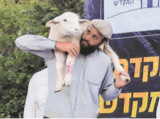 תרגול קורבן פסח, ערב פסח תשפ"ב. למצולם אין קשר לכתבה