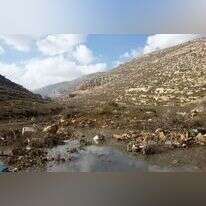 ביוב שזורם לשמורת נחל פרת, 2015. | יונתן לורנס