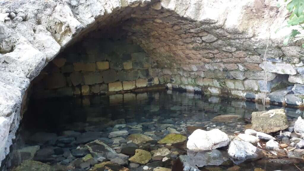 עין פית. | עדי שם טוב