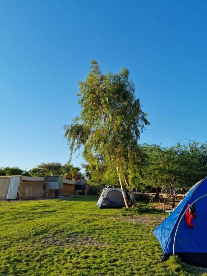 חאן אליפז. | לאה צדוקס