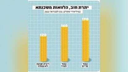 מקור: בנק ישראל. איור: שאטרסטוק