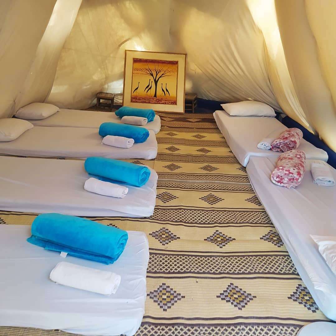 חאן ארץ הצבי. | ארץ הצבי